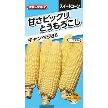 とうもろこしページ 613b83be+YL._UF350,350_QL50_.jpg